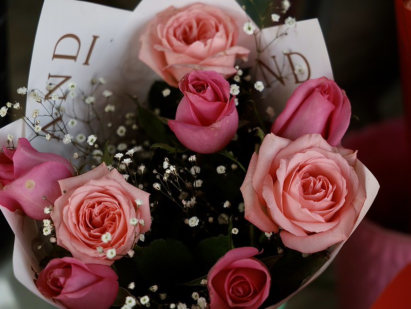 Crece hasta 25 por ciento demanda de rosas por Día del Amor y la Amistad en Jalisco